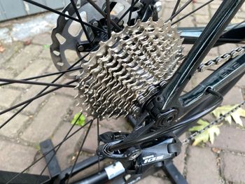 Used Superior X-ROAD Team Comp 2024 2024 Road & Gravel, Green — image 10 of 11