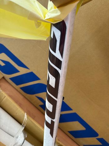 Used Giant TCR Advanced SL Frameset 2026 Road & Gravel, White — image 7 of 7