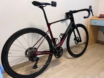Used Giant Defy Advanced Pro 2 2024 Road & Gravel