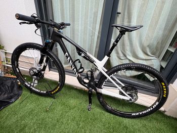 Used Canyon Lux World Cup 7 2023 MTB