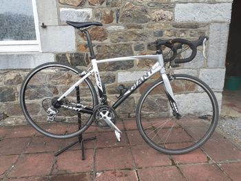 Used Giant Defy 3 2016 2016 Road & Gravel