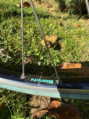 Used Bianchi Centenario 1985 Road & Gravel, Green — image 12 of 24