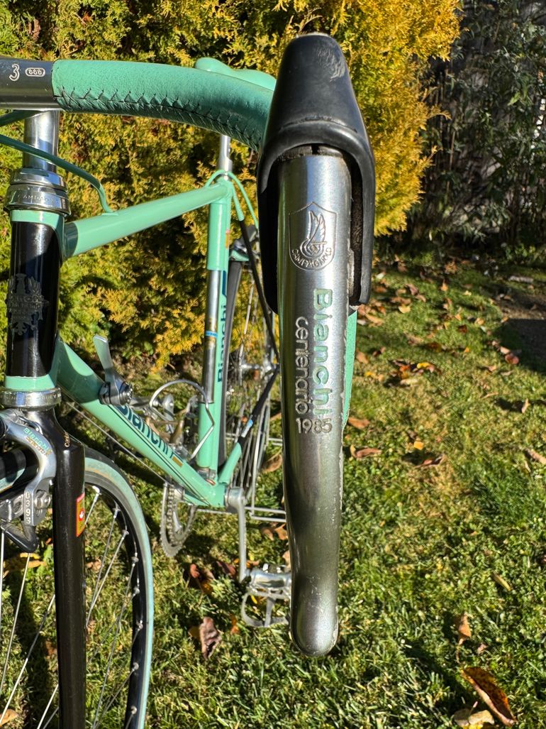 Used Bianchi Centenario 1985 Road & Gravel, Green — image 22 of 24