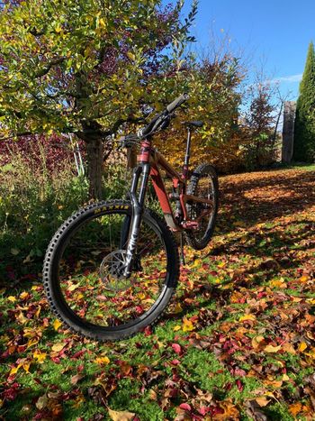 Used Propain Tyee CF 27.5 Start 2021 2021 Mountainbike, Red, 27.5 — image 17 of 19
