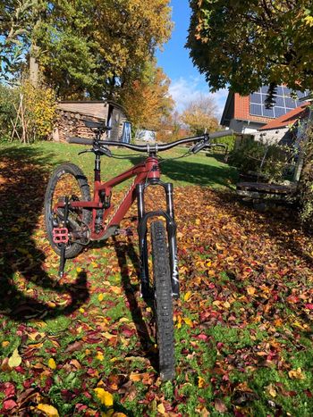 Used Propain Tyee CF 27.5 Start 2021 2021 Mountainbike, Red, 27.5 — image 16 of 19