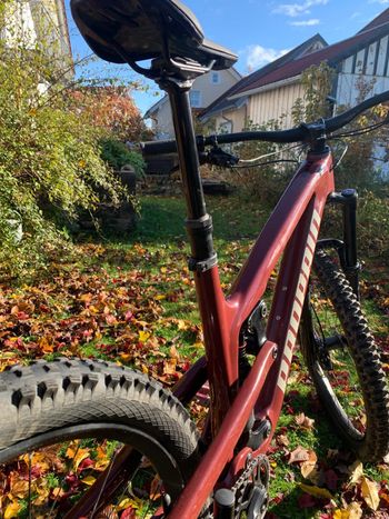 Used Propain Tyee CF 27.5 Start 2021 2021 Mountainbike, Red, 27.5 — image 4 of 19