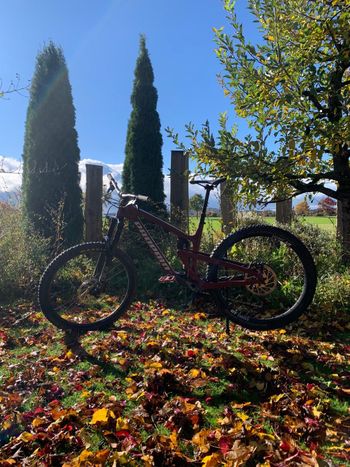 Used Propain Tyee CF 27.5 Start 2021 2021 MTB