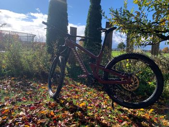 Used Propain Tyee CF 27.5 Start 2021 2021 Mountainbike, Red, 27.5 — image 18 of 19