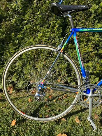 Used Colnago Master 1996 Road & Gravel, Blue — image 7 of 30