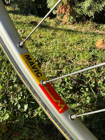 Used Colnago Master 1996 Road & Gravel, Blue — image 30 of 30