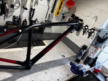 Used Specialized Men's Epic Hardtail Comp 2018 Frameset 2018 Mountainbike, Black, 29 — image 12 of 12