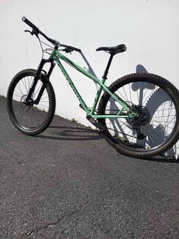 Used Other Brands Marino Custom 2022 Mountainbike, Green — image 2 of 6