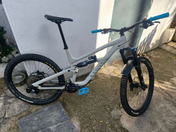 Canyon, Torque Mullet AL 7 2024