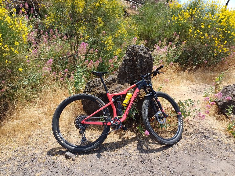 Used Orbea OIZ M20 TR 2022 2022 Mountainbike, Red, 29 — image 3 of 4