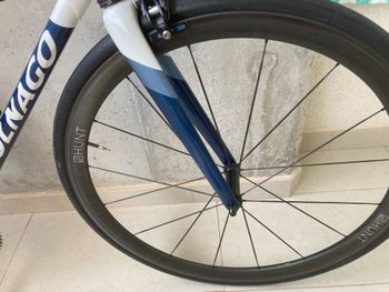 Used Colnago C50 2010 2010 Road & Gravel, Blue — image 4 of 8