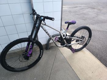Used Commencal Supreme DH V5 Mulet 2024 MTB