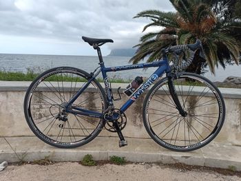 Used Whistle Modoc 2016 Road & Gravel
