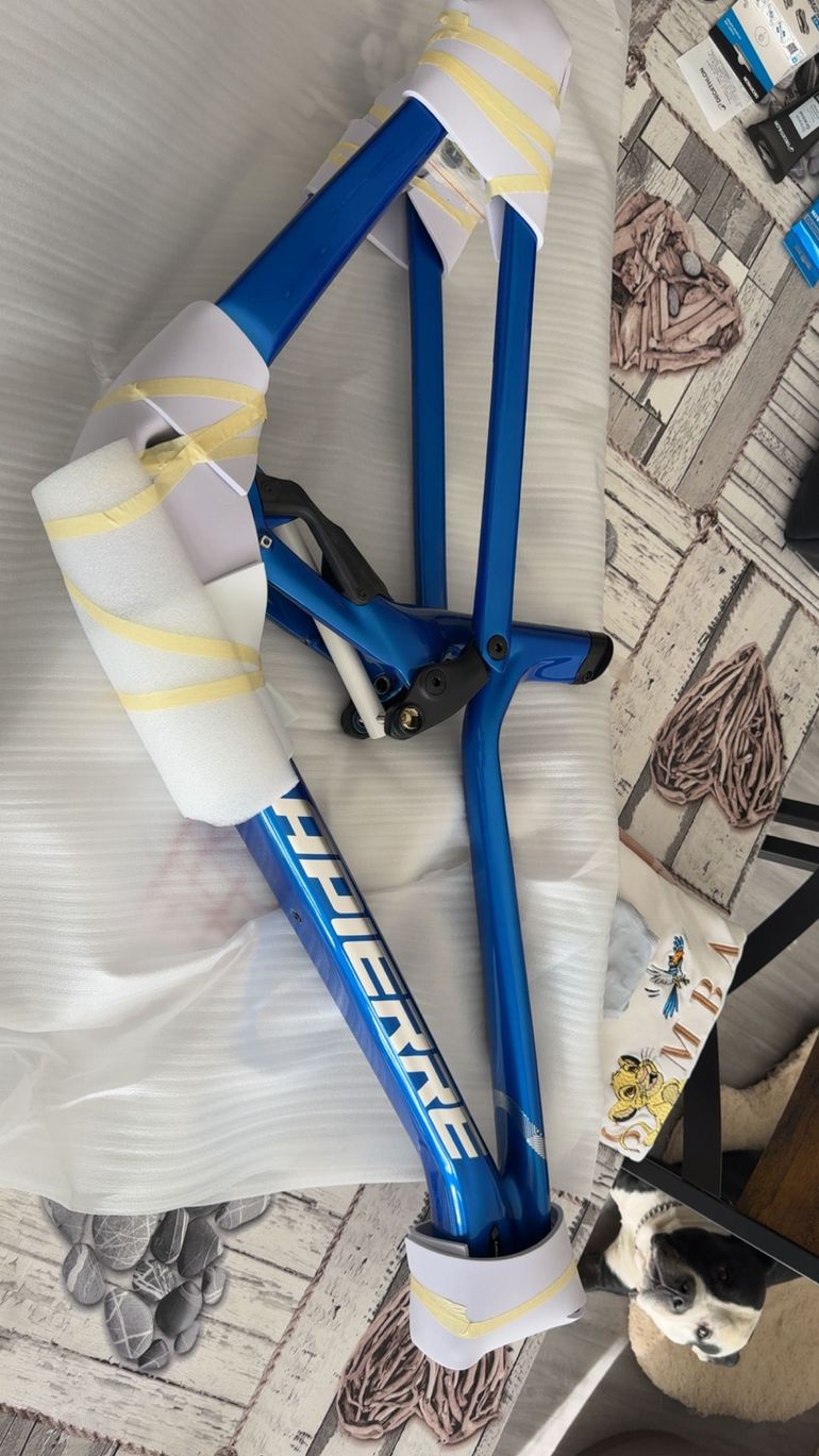 Used Lapierre Spicy CF Team 2023 Frameset 2023 Mountainbike, Blue, 29 — image 2 of 3