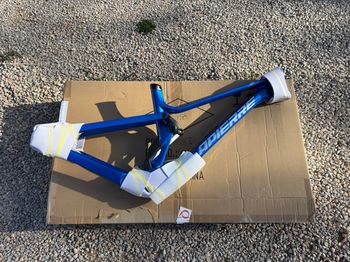 Used Lapierre Spicy CF Team 2023 Frameset 2023 MTB