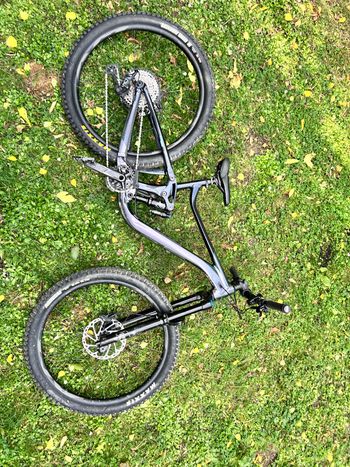 Used Giant Reign 1 2024 2024 Mountainbike, Black, 29 — image 3 of 9