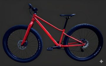 Brugt BMC 24 Pollici 2021 Mountainbike — billede 2 af 4