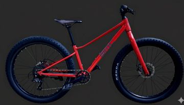 Brugt BMC 24 Pollici 2021 Mountainbike — billede 1 af 4