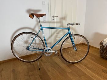 Used Pedalritter PX01S Singlespeed/ Fixie 2019 Road & Gravel
