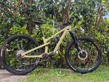 Canyon Spectral 125 CF 8 2023 2023 MTB usato
