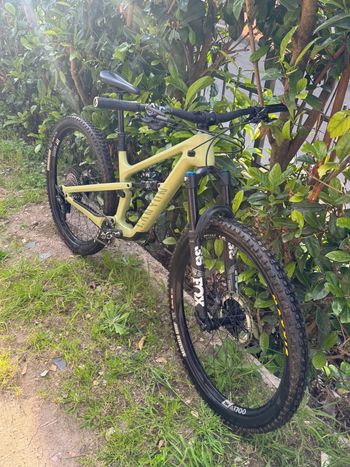 Canyon Spectral 125 CF 8 2023 2023 Mountainbike usato, Verde — immagine 4 di 7
