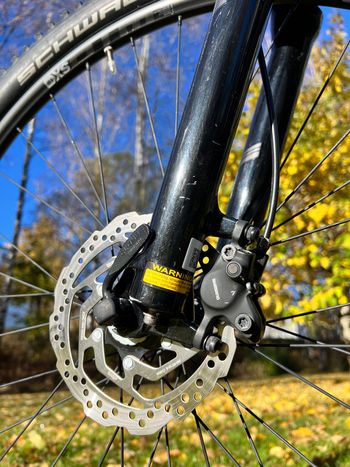 Cannondale Trail 5 2020 2020 Mountainbike usato, Grigio chiaro — immagine 4 di 7