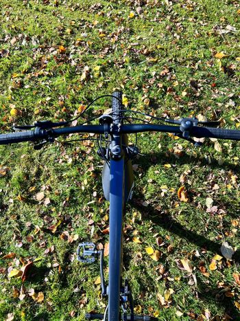 Cannondale Trail 5 2020 2020 Mountainbike usato, Grigio chiaro — immagine 3 di 7