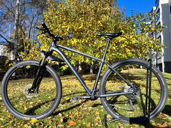 Cannondale Trail 5 2020 2020 MTB usato