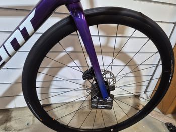 Used Giant TCR Advanced 1 2025 2025 Road & Gravel, Blue — image 4 of 6