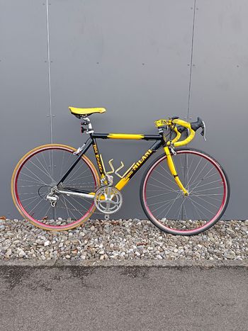 Bottecchia, Mauro Milani