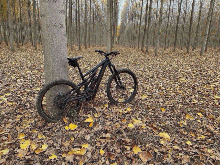 Used Specialized Turbo Levo Comp Alloy 2025 2025 Mountainbike, Black, Mixed — image 7 of 8