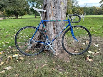 Used Mondia Champion 1990 Road & Gravel, Blau — image 6 of 12