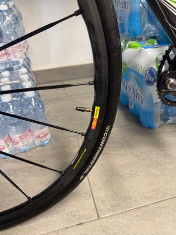 Used Colnago EPS 2012 Road & Gravel — image 6 of 7