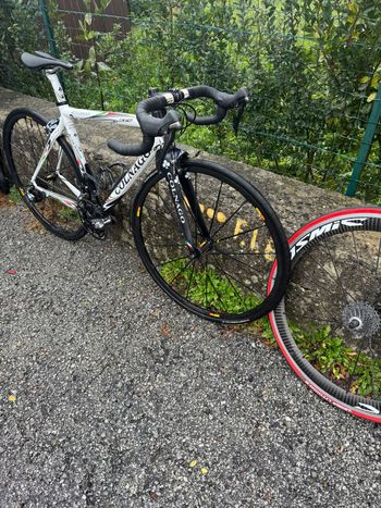 Used Colnago EPS 2012 Road & Gravel — image 4 of 7