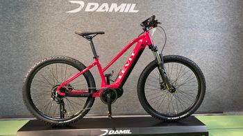 Other Brands, LEVIT MUAN MID MX 2024
