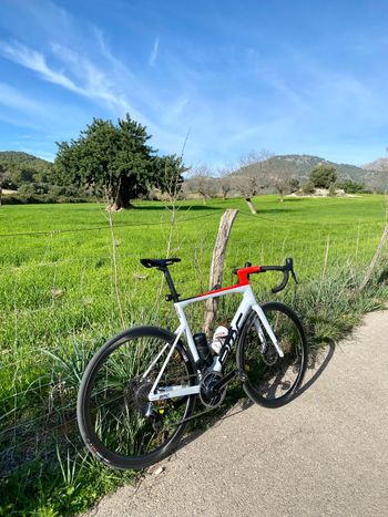BMC, Teammachine SLR 01 TEAM P2P 2022 Frameset