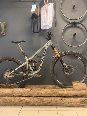 Pivot, Firebird 2024
