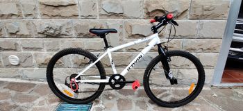 ROCKRIDER, Rock Rider 300 24"