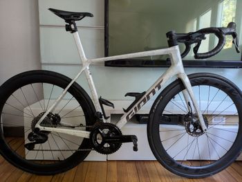 Giant, TCR Advanced SL 1 2025