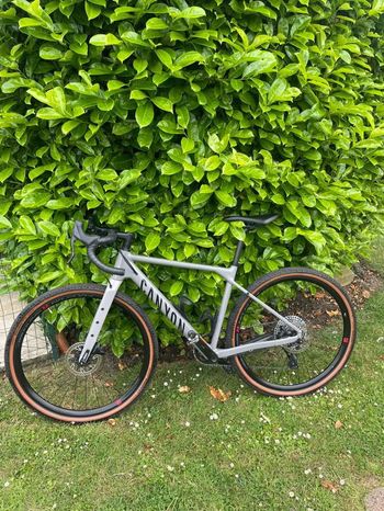 Used Canyon Grizl for sale | 70% off new | buycycle