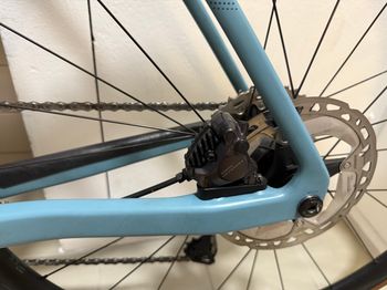 Used Canyon Endurace CF SLX 8 Di2 2023 2023 Road & Gravel, Blue — image 13 of 18