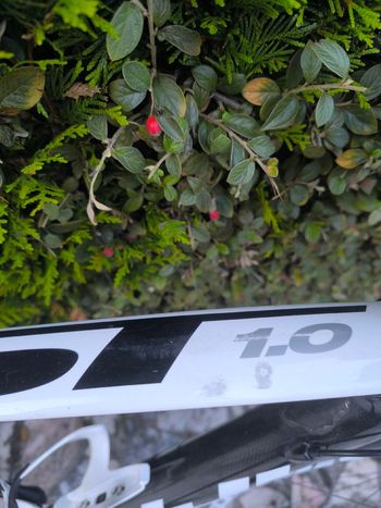 Used Fuji SST 1.0 2011 Road & Gravel, Black — image 14 of 17