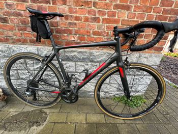 Giant Contend 1 2022 2022