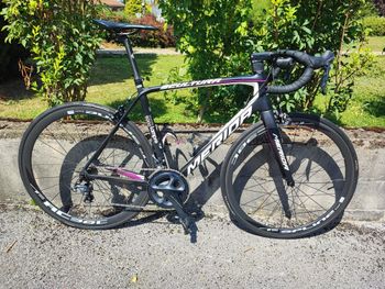 Merida, SCULTURA 5000 2019