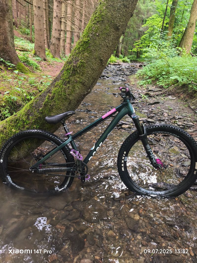 Used Rose THE BRUCE 2 2021 2021 MTB