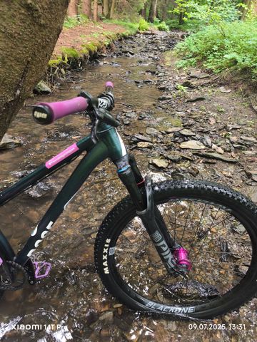 Used Rose THE BRUCE 2 2021 2021 Mountainbike, Green, 26 — image 2 of 14